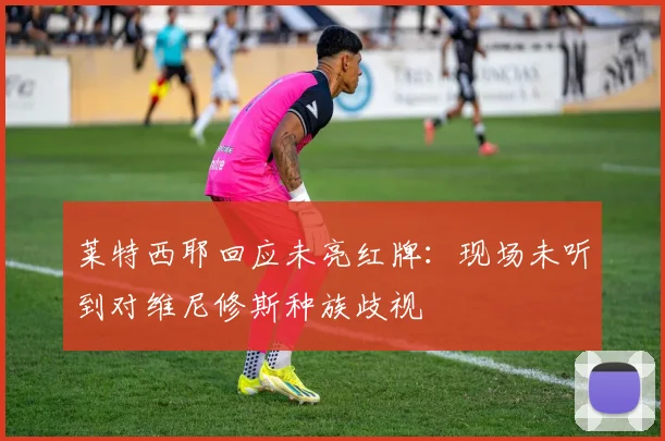 莱特西耶回应未亮红牌：现场未听到对维尼修斯种族歧视